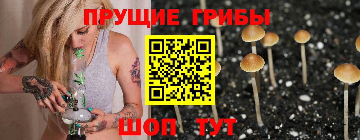 Бугуруслан  Галлюциногенные грибы ЛСД  Вход с VPN  купить  сайты  Галлюциногенные грибы Magic Shrooms 